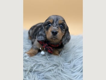 Image 1 of 18