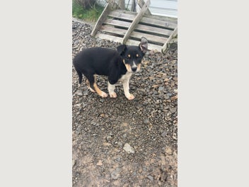 Image 1 of 7