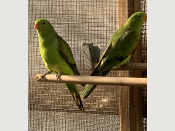 Image 1 of 7