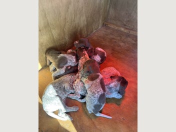 Image 1 of 10