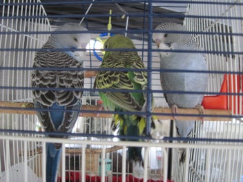 Image 1 of 3