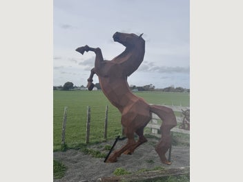 Image 1 of 6