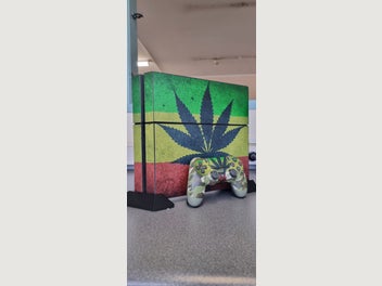 Image 1 of 14