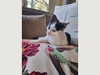 Image 1 of 6