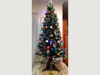 Image 1 of 15