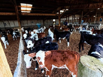 Image 1 of 6