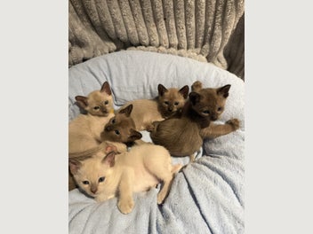 Image 1 of 14