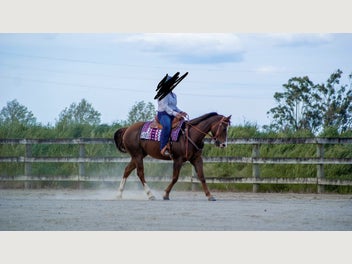 Image 1 of 12