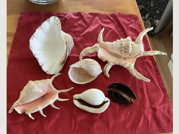 Image 1 of 10