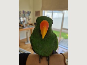Image 1 of 5