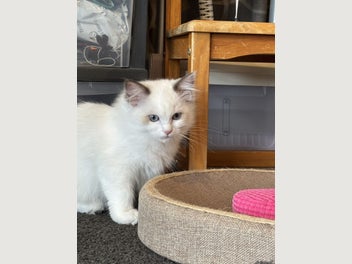 Image 1 of 6