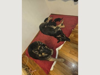 Image 1 of 9