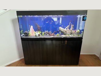 Image 1 of 12