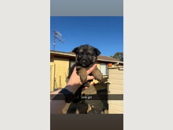 Image 1 of 18