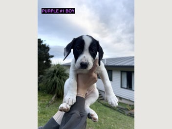 Image 1 of 20