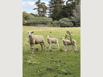 Image 1 of 10