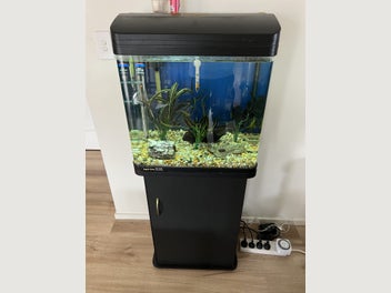 Image 1 of 7
