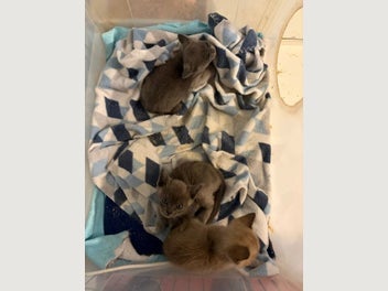 Image 1 of 14