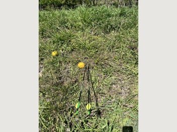 Image 1 of 10