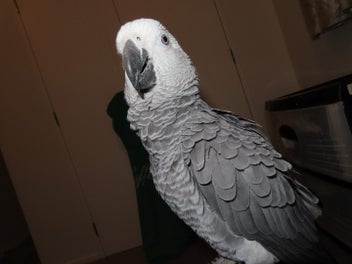 Image 1 of 7