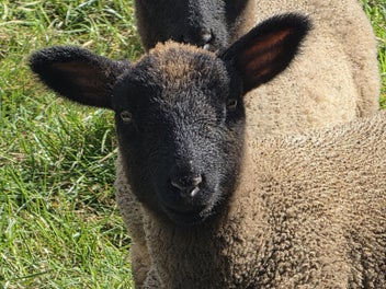 Image 1 of 3