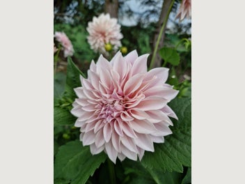 Image 1 of 8