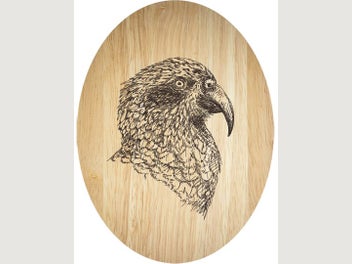 Image 1 of 1
