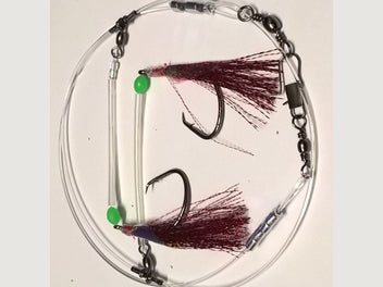 Image 1 of 10