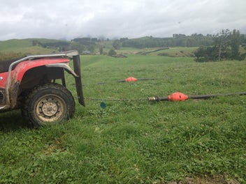 Image 1 of 16