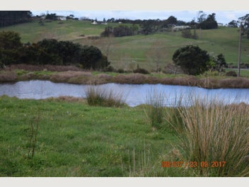 Image 1 of 12