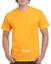 Gildan Heavy Cotton T-Shirt printing,Custom T-Shirt print, T-Shirt printing Carousel 13