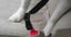PET SEAT BELT - BARGAIN!!! Carousel 7