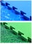 Eva Interlocking Mats 1m x 1m x 20mm Blue Carousel 4