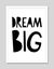 Dream Big by Mini Learners Art Print Carousel 6