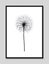 Dandelion Art Print Carousel 7