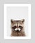 Woodland Raccoon by Lila & Lola Art Print - A3 Carousel 1