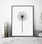 Dandelion Art Print Carousel 4