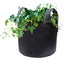 Garden Plant Fabric Grow BagsPlant Grow Bags New New Carousel 4