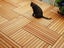 LIFETIME WARRANTY! Siberian Larch Cladding Carousel 10