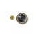 Loading Image 1 of 1