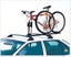 Loading Image 1 of 1