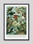 Native Birds of New Zealand Art Print Carousel 2
