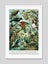 Native Birds of New Zealand Art Print Carousel 3