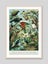 Native Birds of New Zealand Art Print Carousel 4