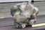 Museum quality natural 3.9kg of flint stone Carousel 3
