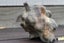 Museum quality natural 3.9kg of flint stone Carousel 4