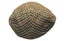 Unisex Country Flat Cap - Wool - Beige - 3XL (62cm) Carousel 2