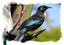 TUI IN OUR GARDEN FREEPOST **BUY ONE GET 1 FREE** Carousel 6