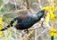 TUI IN OUR GARDEN FREEPOST **BUY ONE GET 1 FREE** Carousel 10
