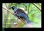 TUI IN OUR GARDEN FREEPOST **BUY ONE GET 1 FREE** Carousel 3